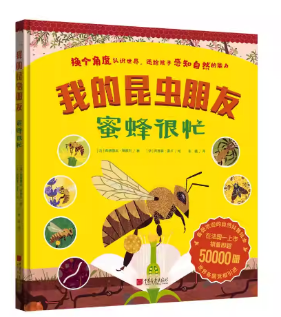 我的昆虫朋友：蜜蜂很忙